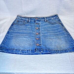 American Eagle Outfitters Blue Denim Button-up Mini Skirt